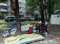 Dāvids  - фото работ: Daudzdzīvokļu nama teritorijā koku nozāģēšana